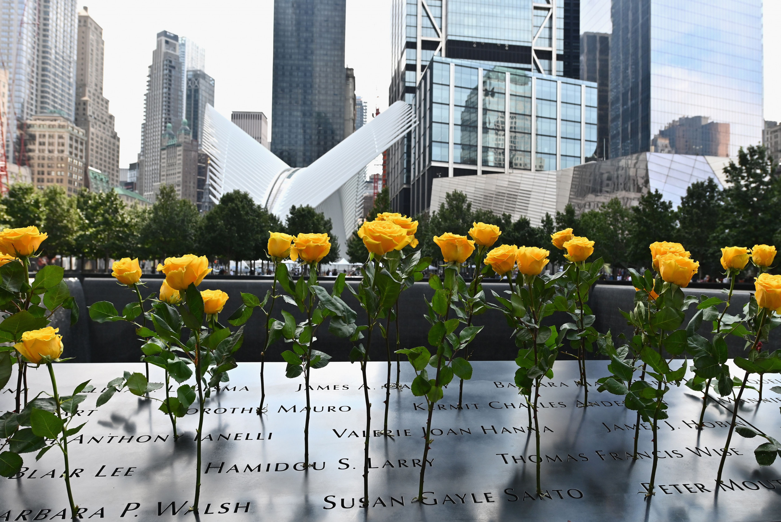 Terry Foster: 'The 9-11 Experience, That Happened Before 9-11!'